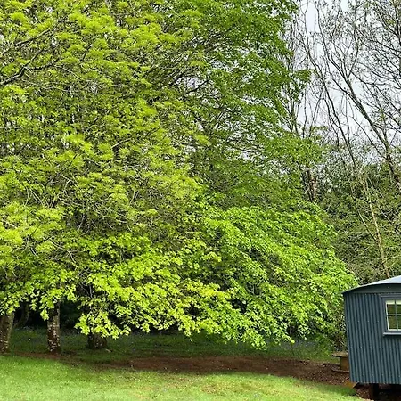 Cornwall Woodland Shepherd'S Hut Deirdres Hut Bodmin Exterior photo