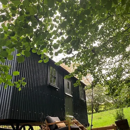 Cornwall Woodland Shepherd'S Hut Deirdres Hut Bodmin Exterior photo