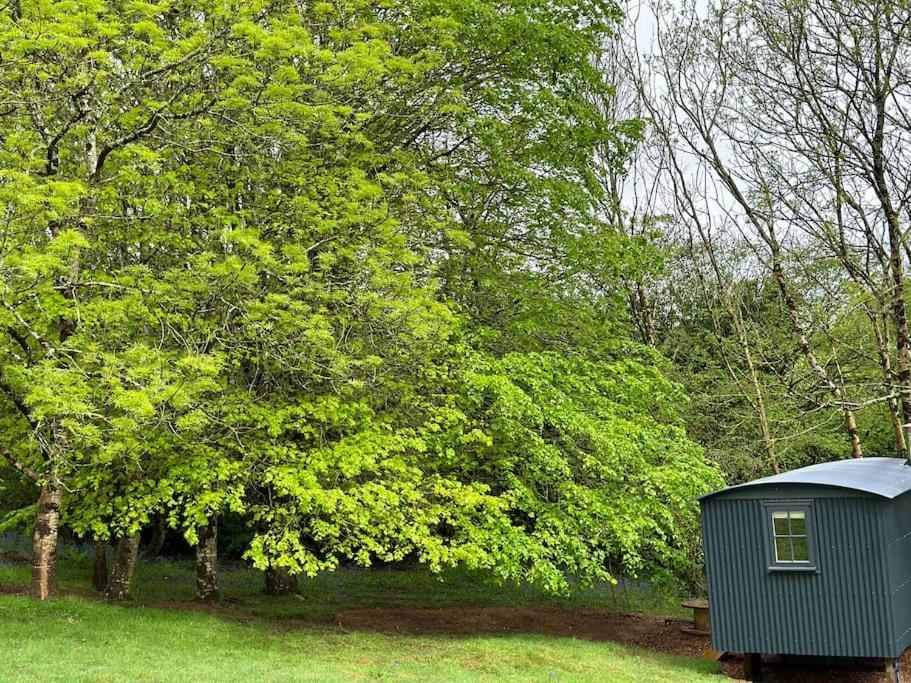 Apartment Cornwall Woodland Shepherd's Hut Deirdres Hut