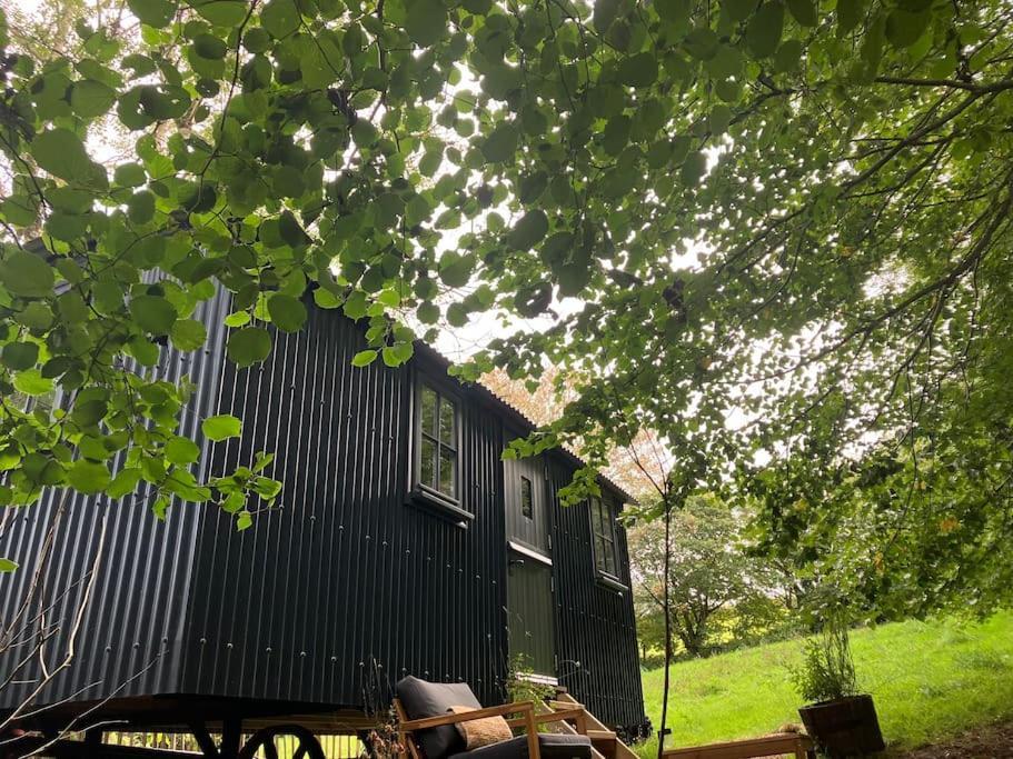 Apartment Cornwall Woodland Shepherd's Hut Deirdres Hut *