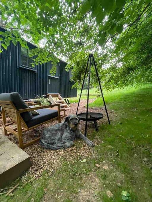 Cornwall Woodland Shepherd's Hut Deirdres Hut Apartment Bodmin