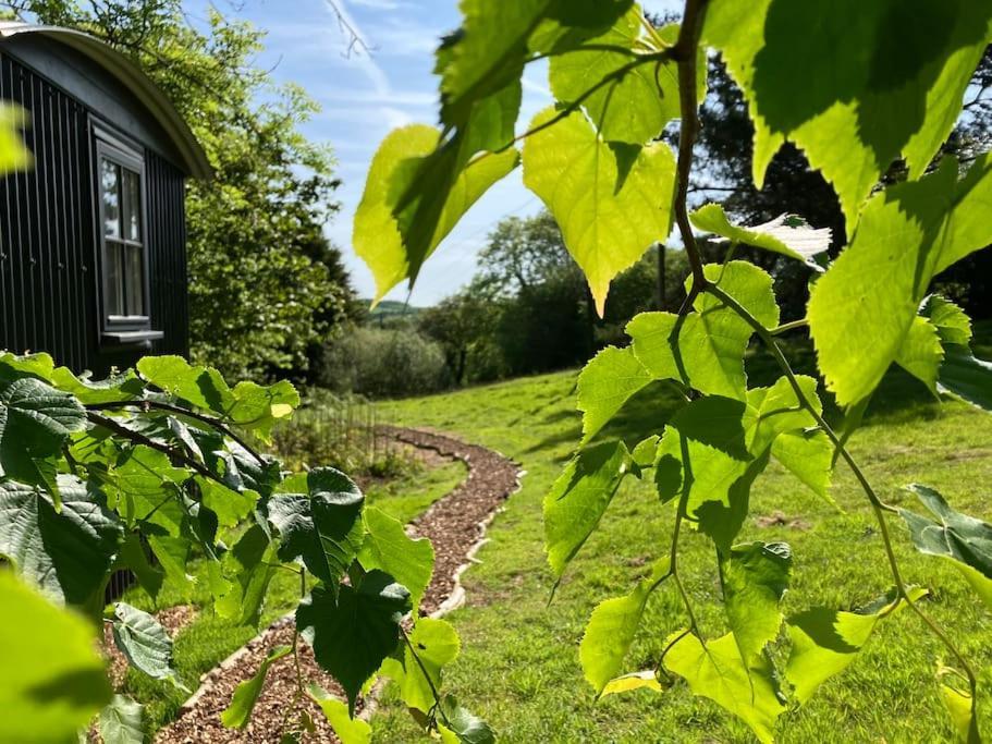 Cornwall Woodland Shepherd's Hut Deirdres Hut *