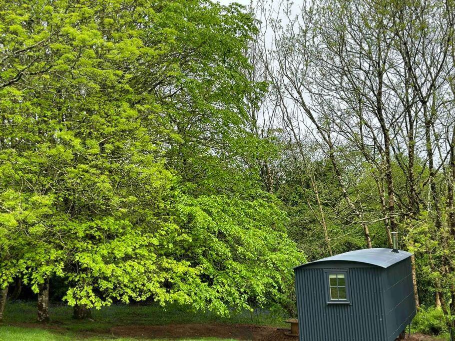 Cornwall Woodland Shepherd's Hut Deirdres Hut *