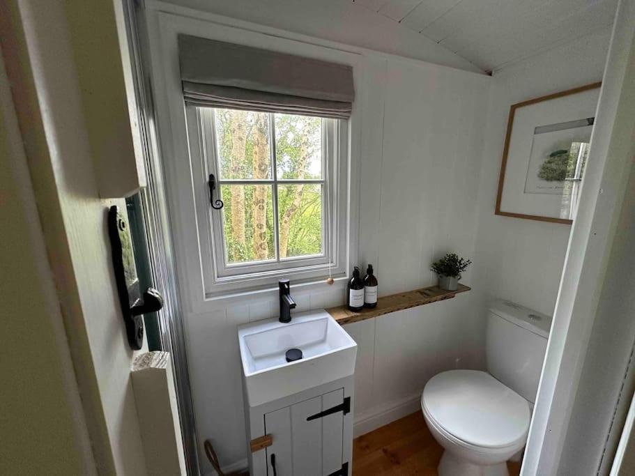 Apartment Cornwall Woodland Shepherd's Hut Deirdres Hut Bodmin