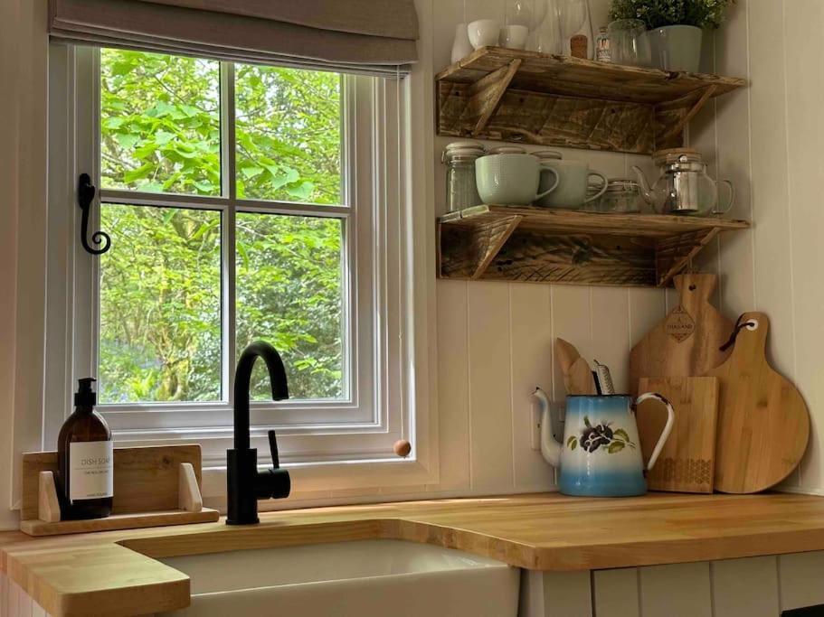 Apartment Cornwall Woodland Shepherd's Hut Deirdres Hut