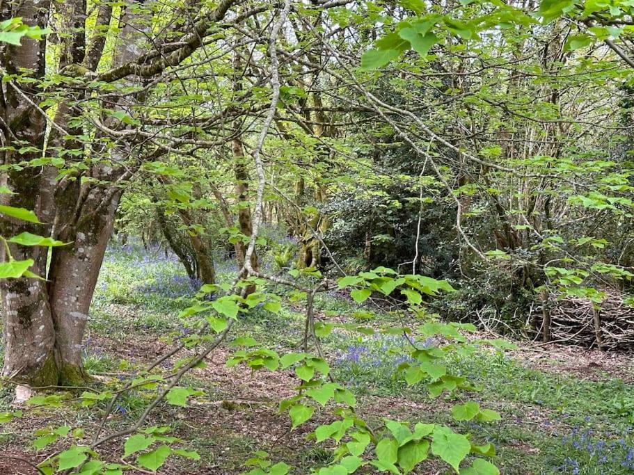 Cornwall Woodland Shepherd's Hut Deirdres Hut * Bodmin